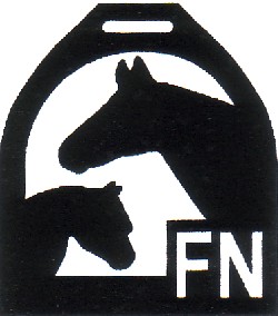 fn (19K)